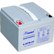 6-GFM-24 12V24AH
